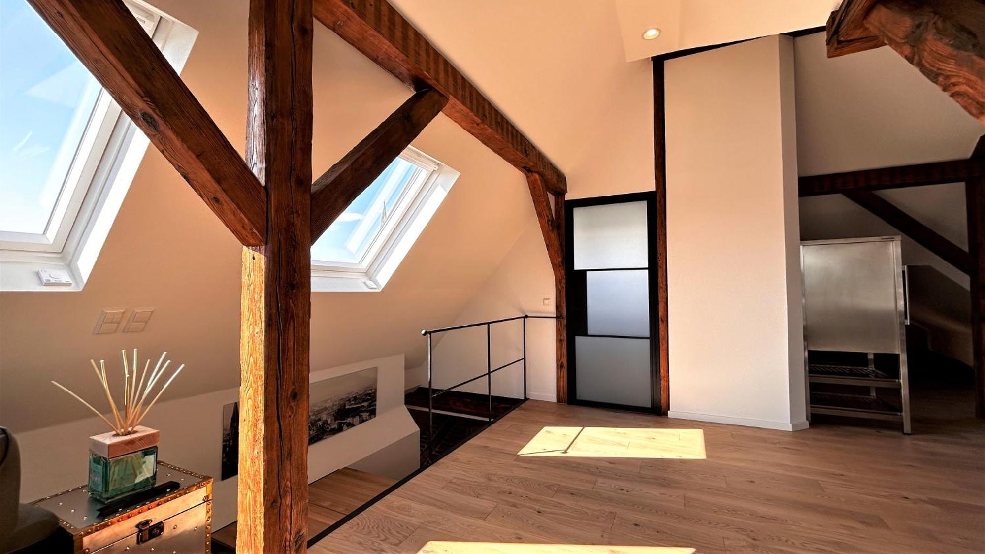 Historical Luxury Homes - Exclusive Selection 프라이부르크 임 브리스가우 외부 사진